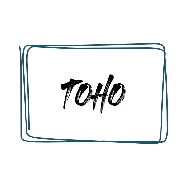 TOHO-kvaliteetne-Jaapani-helmeste-valik-käsitööehete-valmistamiseks