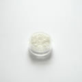 Miyuki Delica 11/0 DB-0200 Opaque White valged silinderhelmed 5g pakendis