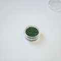 Miyuki 15/0 Rocailles 4700 Opaque Glazed Shamrock Mat AB, erkrohelised matt-viimistlusega vikerkaareläikega väikesed helmed.